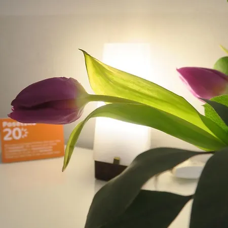 Goscinne Poselska 20 Krakau