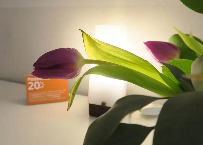 波塞斯卡街20号家庭酒店 克拉科夫