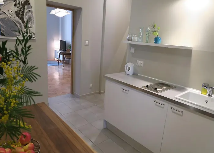 Goscinne Poselska 20 * 크라쿠프